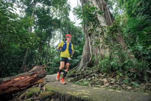 BIB: 
                            <button type="button" onclick="openModal(24809391)" class="btn btn-primary btn-sm float-right btn-popup" data-toggle="modal" data-target=".modal-high-quality">
                        <i class="fas fa-shopping-cart"></i> Add to Cart
                    </button>
                                            <button type="button" onclick="isThisMe(24809391, true)" class="btn btn-success btn-sm float-right btn-popup btn-isme hidden" data-toggle="tooltip" data-placement="bottom" title="นี่คือรูปของคุณใช่ไหม คลิกที่นี่เพื่อเอาเข้าอัลบั้ม">
                        <i class="fas fa-plus"></i> Add to album
                    </button>
                    <button type="button" onclick="isThisMe(24809391, false)" class="btn btn-warning btn-sm float-right btn-popup btn-isnotme hidden">
                        <i class="fas fa-ban"></i> Remove from album
                    </button>